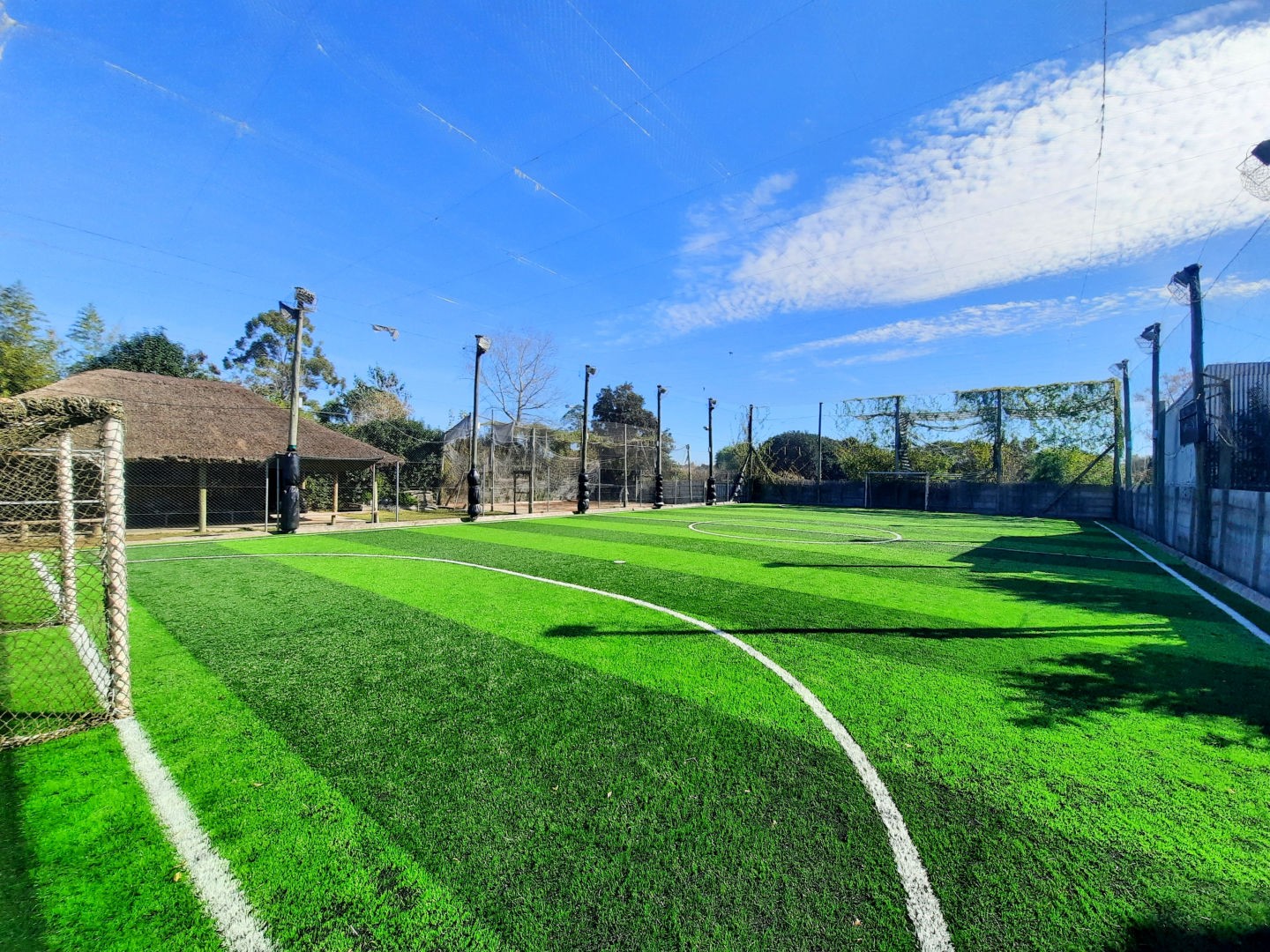 Complejo Deportivo - foto 3