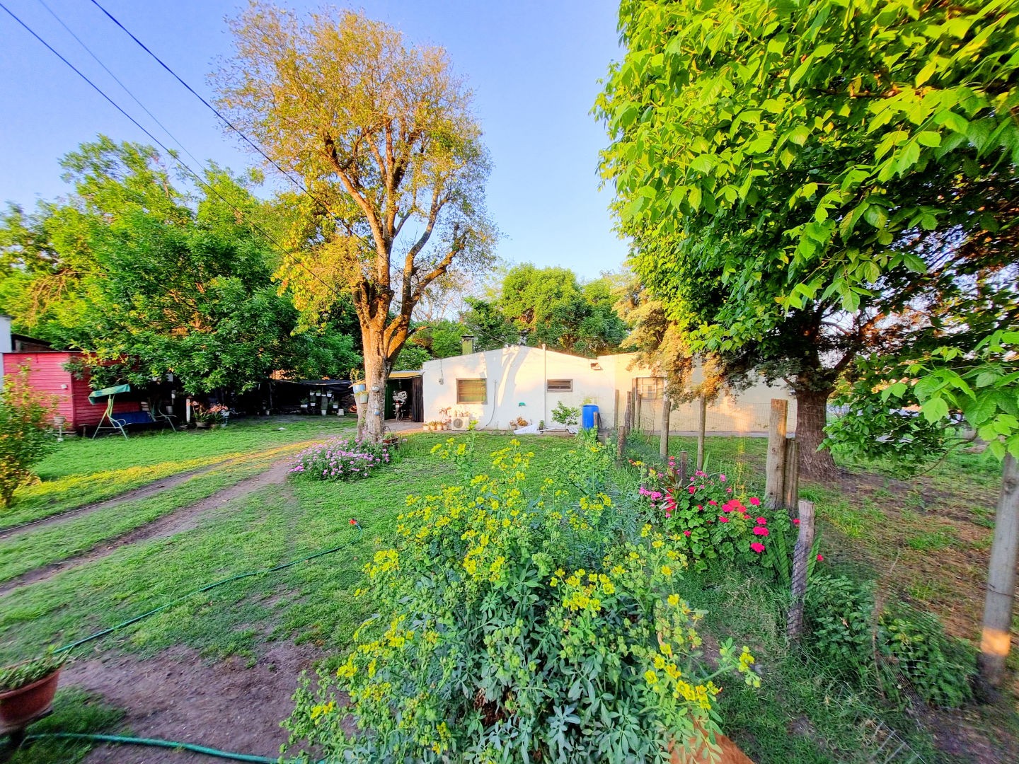 CASA CON AMPLIO TERRENO EN ESQUINA - foto 4