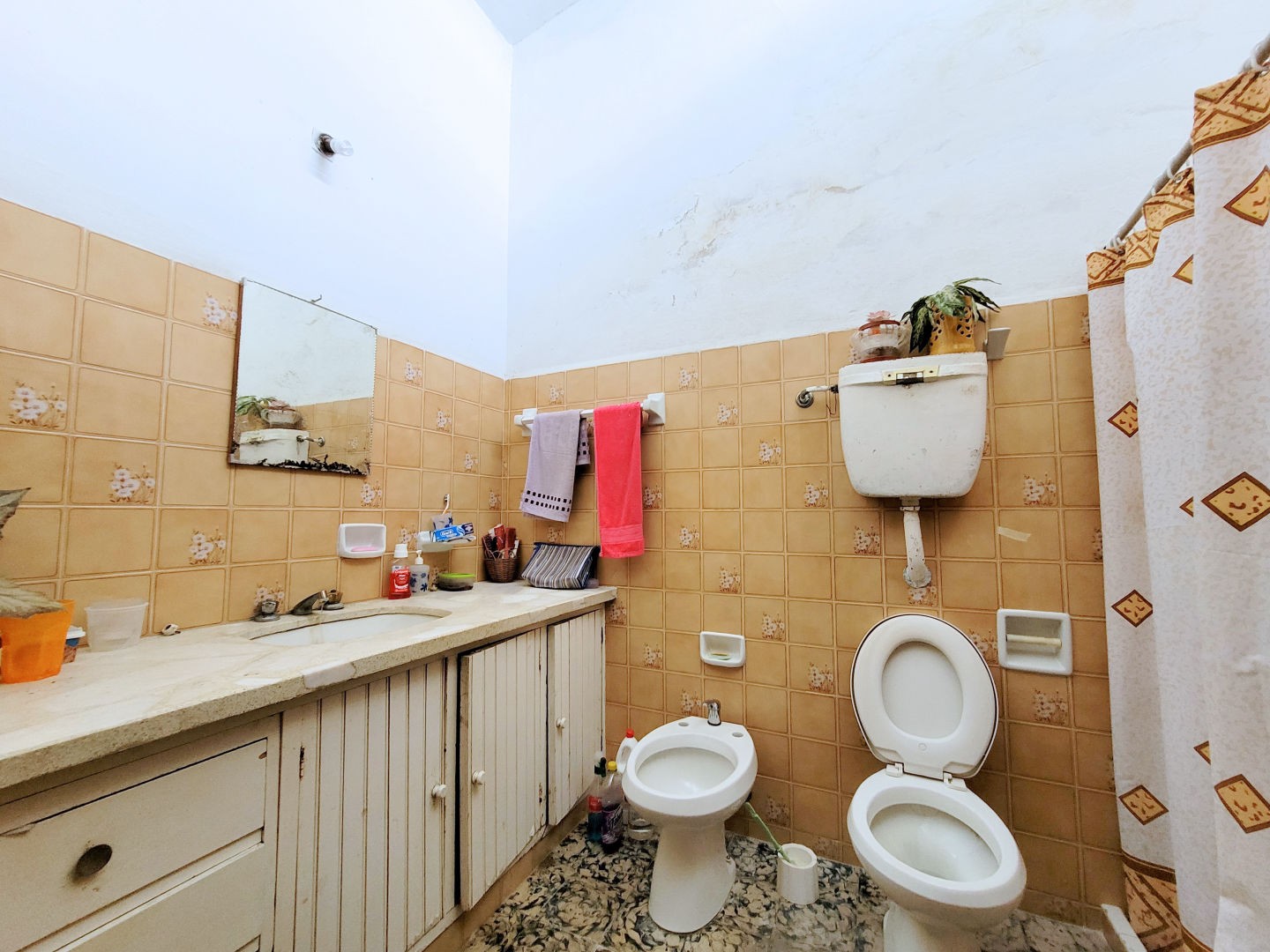 SALON + CASA + APARTAMENTO - foto 11