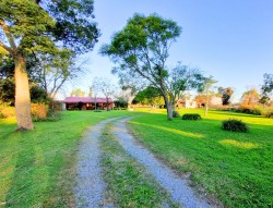 Chacra - miniatura 6