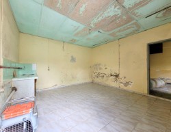 SALON + CASA + APARTAMENTO - miniatura 4