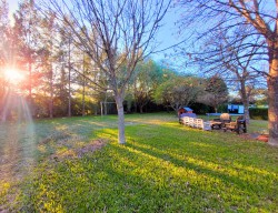 Chacra + Casa - miniatura 12