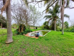 Chacra - miniatura 22