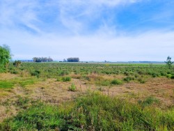 Chacra - miniatura 4