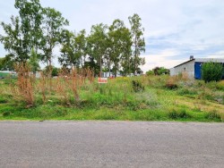 Terreno - miniatura 1