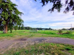 Chacra - miniatura 2