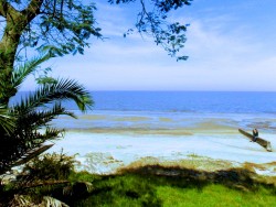 Hosteria - miniatura 20