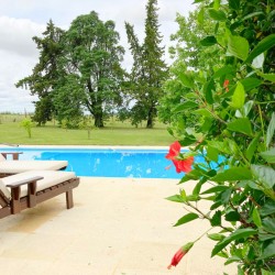 Chacra - miniatura 16