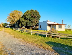 Chacra - miniatura 4