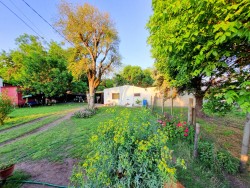 CASA CON AMPLIO TERRENO EN ESQUINA - miniatura 4