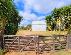 Galpon + 2,5 Has - miniatura 1