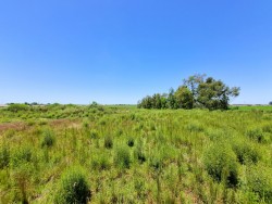 Chacra - miniatura 6