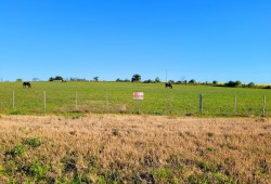 Chacra - miniatura 1