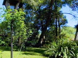 Hosteria - miniatura 15