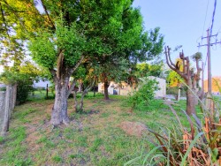 CASA CON AMPLIO TERRENO EN ESQUINA - miniatura 3