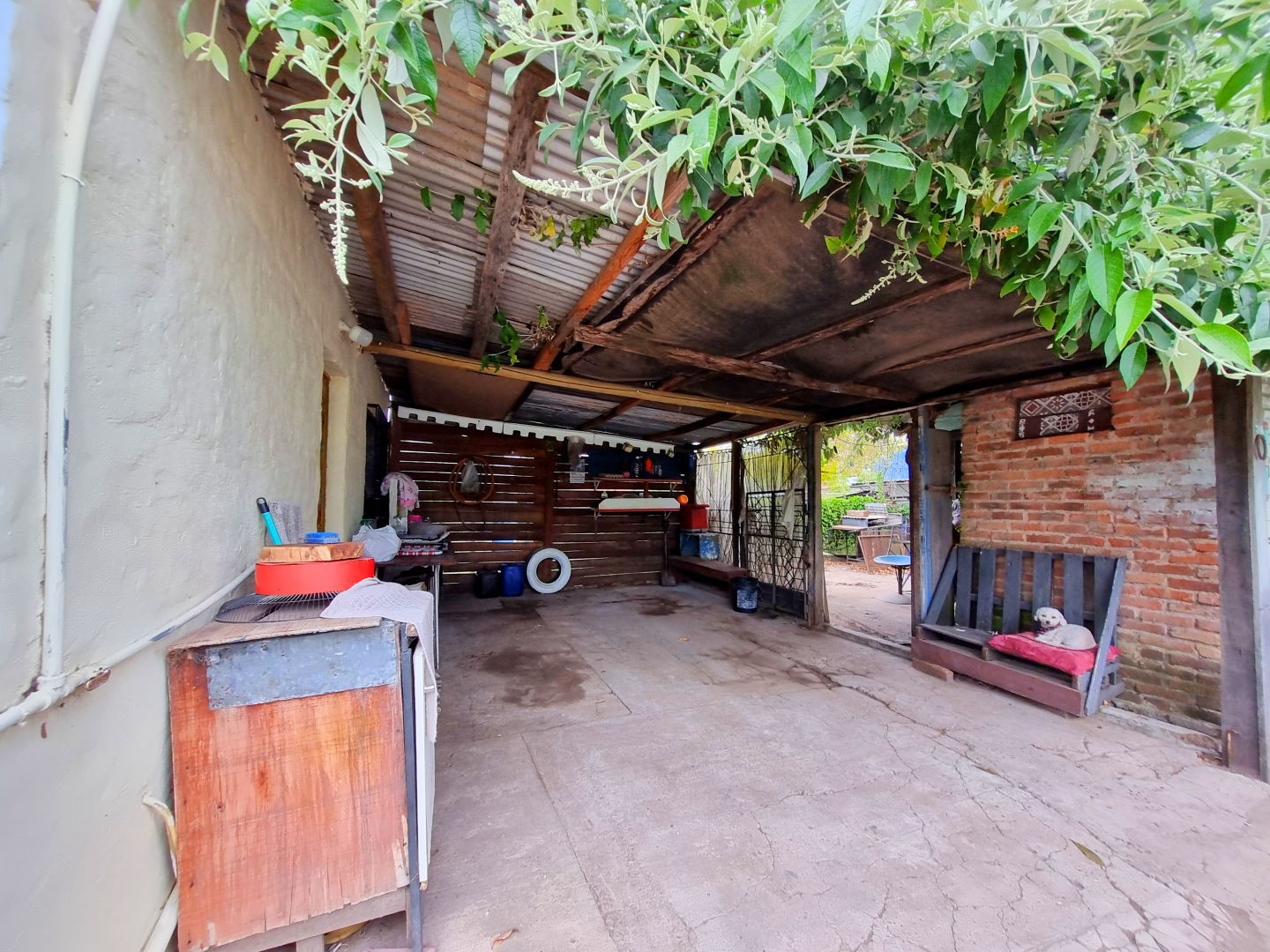 Casa - foto 12