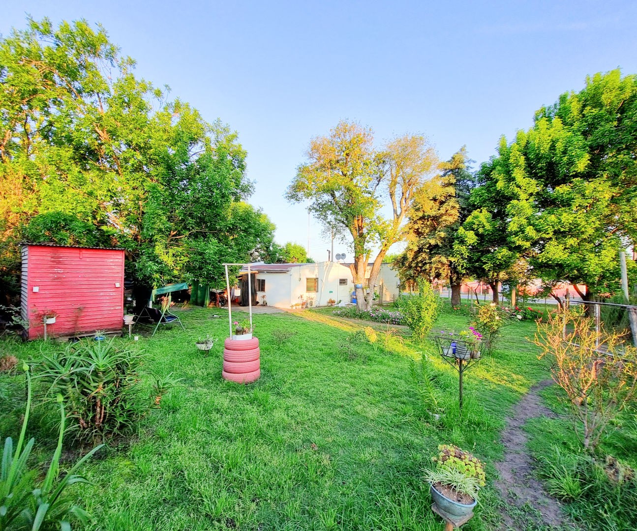 CASA CON AMPLIO TERRENO EN ESQUINA - foto 5