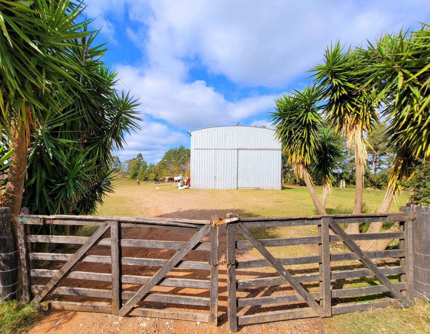 Galpon + 2,5 Has - foto 1