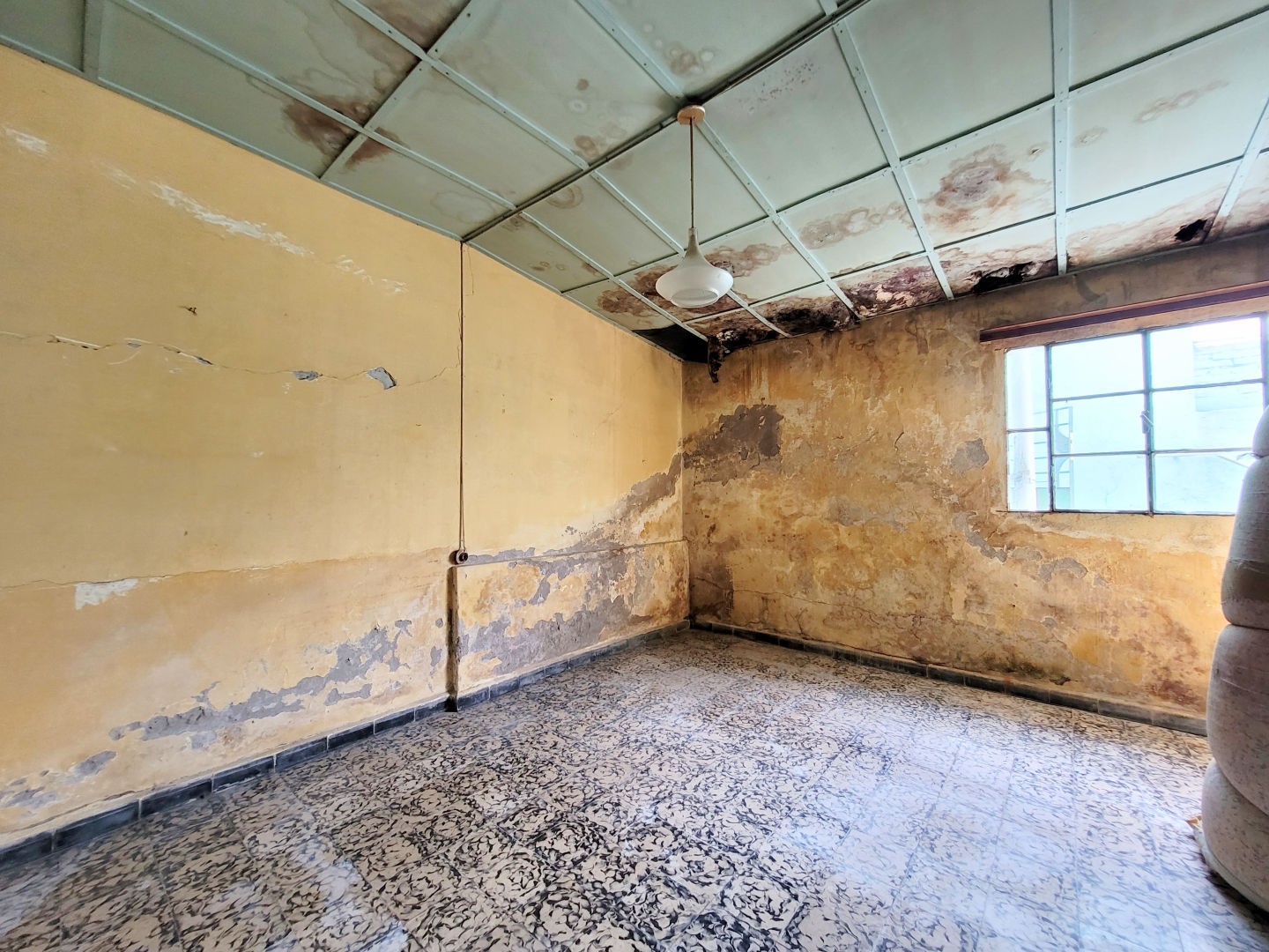 SALON + CASA + APARTAMENTO - foto 5