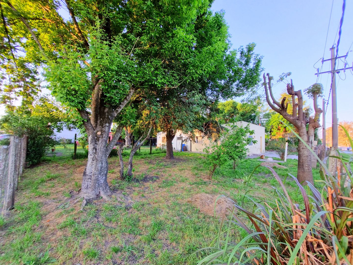 CASA CON AMPLIO TERRENO EN ESQUINA - foto 3