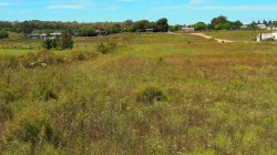 Terreno - miniatura 1