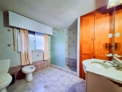 Chacra - miniatura 11