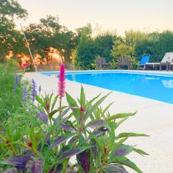 Chacra - miniatura 17