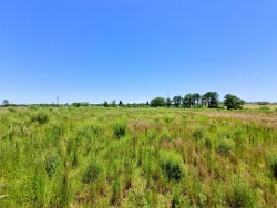 Chacra - miniatura 8