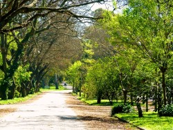 Hosteria - miniatura 18