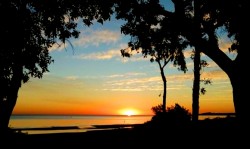 Hosteria - miniatura 21